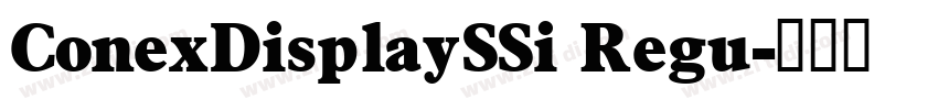ConexDisplaySSi Regu字体转换